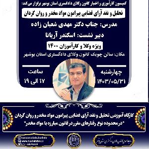 کارگاه آموزشی تحلیل و نقد آرای قضایی پیرامون مواد مخدر و روان گردان